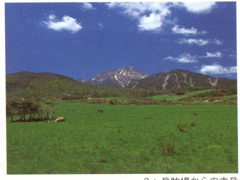הוקוטו Kiyosato Pension Izumi מראה חיצוני תמונה